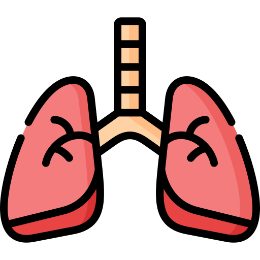 produits respiratoires